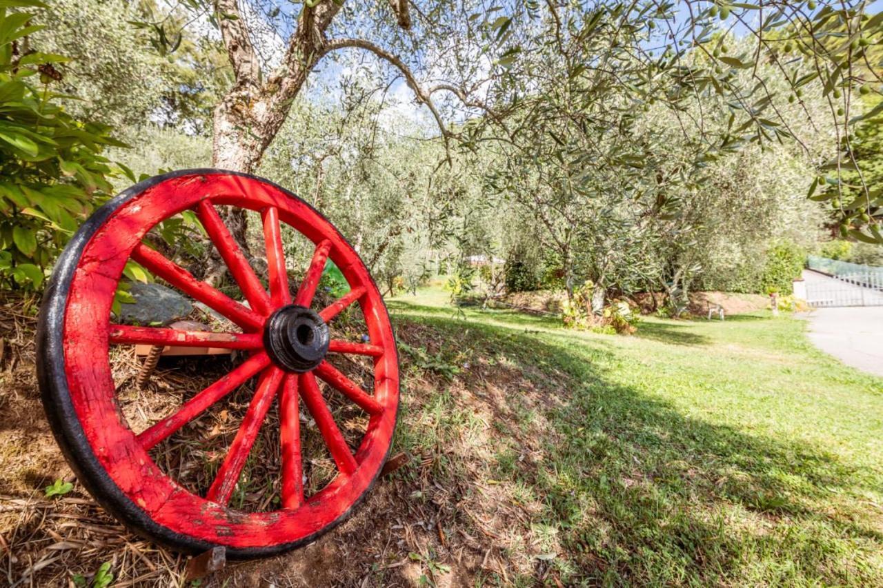 Al Giardino Degli Ulivi Guest House Santa Maria Albiano Exterior photo