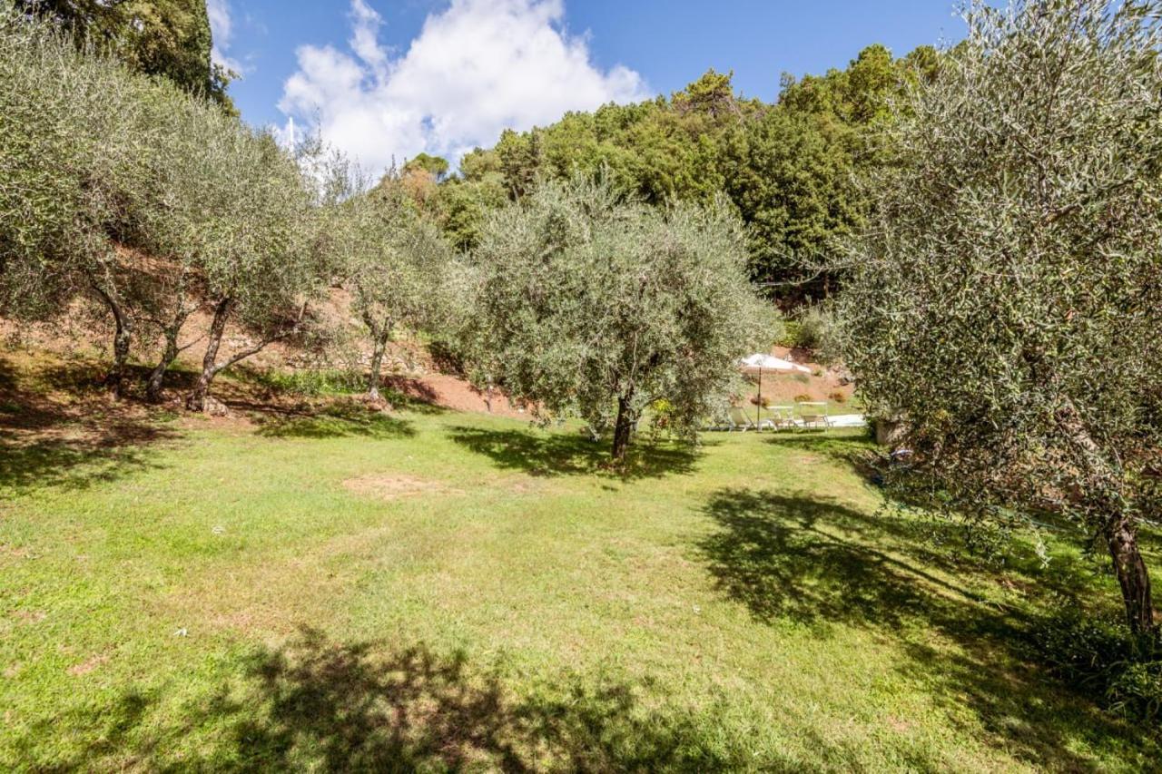 Al Giardino Degli Ulivi Guest House Santa Maria Albiano Exterior photo